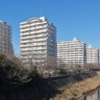 海の音が聴こえた…歩いて沼津まで行った話　前編　川が拓く都市、そして郊外