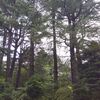 野島公園散策！