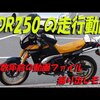 懐かしのTDR250の動画