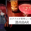 【東京・銀座】酒向BARレビュー: 3300円