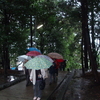 雨の中でも里山視察