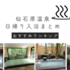 【仙石原温泉】日帰り入浴完全ガイド（温泉ソムリエのオススメ７選）