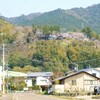 新四国曼荼羅霊場  桜　第５６番 石見寺　( 2011-04-01 )　２