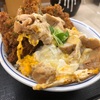 かつや期間限定『親子丼とタレカツの合い盛り丼』のお得感とボリュームが半端ねぇ！！これはどうあがいても美味いしか言えねぇな！！