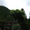 （日高）　朝一番で参拝　（１４８日目）