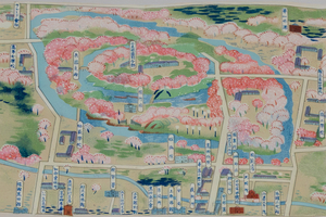 【TJ調査隊】今年の高田城址公園観桜会は第100回　大正時代の第1回の様子は？　「三大夜桜」は戦後からか