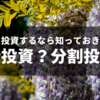 100万円を株式に投資するなら一括投資？分割投資？