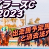 【マイラーズカップ2023】出走馬予定馬データ分析と消去法予想