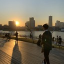 浅く薄い知識の掃き溜め