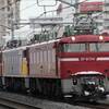 1月15日(日)の撮影 EF81 92・EF81 85廃車回送 Part-3