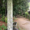 万葉集の世界に飛び込もう（その２６４６）―書籍掲載歌を中軸に（Ⅱ）―