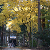 劔神社とじんべえのランチバイキング