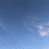 早く乾いて欲しい