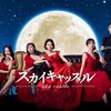 ドラマ『スカイキャッスル』全9話 感想