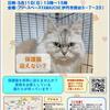 ヤルコト イッパイ アル