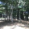 田喜野井公園