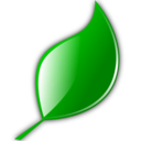 文系プログラマによるTIPSブログ