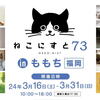 ねこにすと 73 in ももち