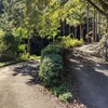 倉子峠→軍刀利神社→三国山→軍刀利神社元社