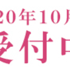 初心者のための茶道教室