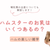 ハムスターの乳首はいくつある？一度に産む数も解説