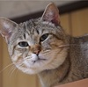 明日は気楽だな　～シチューの仕込みは終わった～