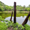 雌池（兵庫県芦屋）