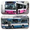 松戸新京成バス