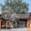 京都散歩②　泉屋博古館の中国青銅器に瞠目！