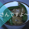 砂肝さんですよ〜(￣∇￣)