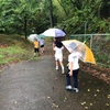 雨の日はお散歩！