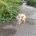 都内IT企業OLの備忘