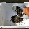2.メダカを飼育しよう！簡単なメダカのお家作り♪水槽セット!!