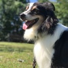 2023年12月17日🐾 今日のマヤ暦