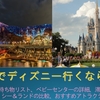 週1でディズニーにいくママが子連れディズニーデビューをサポートします♡