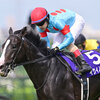 競馬初心者必見☆馬券予想🔥〜宝塚記念〜上半期はレジェンドが締めくくる！