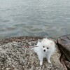 朝から琵琶湖で散歩