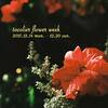12月のtocolier flower week＆花撮週間