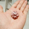リボンの薔薇
