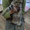 6月の満月おめでとうございます！
