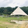 Yorkshire Wildlife Park