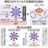 前回記事、～厚生労働省 新型コロナウイルス感染症対策推進本部～（変異株）への対応の情報を土台に①現状の全国の変異株感染リアル状況（仙台、東京）②海外2社日本法人の各種変異株を数時間で検査可能機器の開発販売プレスリリースと感染研等々の検査2～3日の立ち遅れ。