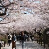 【登山】鎌倉天園ハイキング