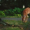 過去の自分に教えておきたいこと。