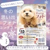 ハナとミオ♪フォトコンテスト☆2025年初冬☆ヾ(○･ω･)ﾉ♪