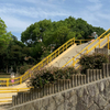 公園へお散歩