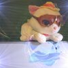 neko.jpg