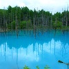 北海道、美瑛にある「青い池」はとても神秘的で美しい。