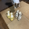 届いた！