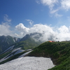 【登山紀行】初夏の飯豊山縦走Day2 斜面を黄色く染めるその花の名は？